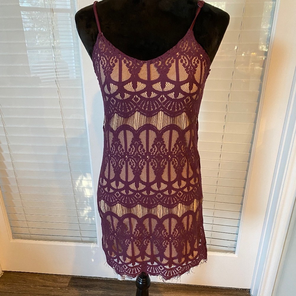 NWT.  Love Fire.  Beautiful Mauve dress with nude silk sheath.